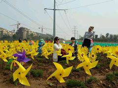 -洛阳郁金香牡丹园