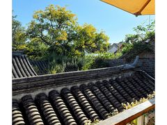 -闲·胡同 Barblu Hutong(雍和宫五道营店)