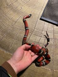 -酷嗒动物文化乐园(cutezoo西溪乐天城店)