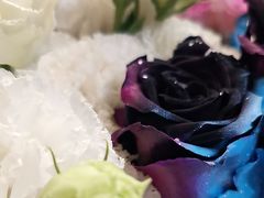 -FEI FEI FLOWER鲜花店·气球派对·宝宝宴布置(虹口德必运动Loft店)