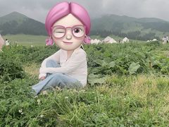 -新疆那拉提国家旅游度假区