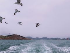 -海驴岛(荣成市)