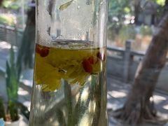 -探窝·竹笙椰子鸡(杨箕店)