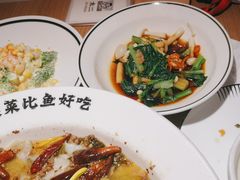 干葱菌菇白灼菜心-新太二·鲜料川菜(晶耀前滩店)