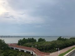 -宝安西湾红树林湿地公园