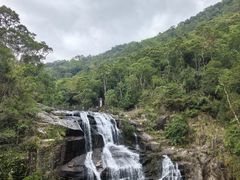 -海南热带雨林国家公园吊罗山景区