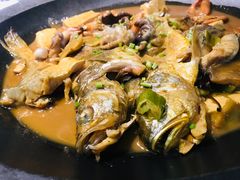 -船歌·鱼水饺青岛菜(闽江二路店)
