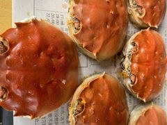 -黄记大闸蟹专卖店·活蟹·醉蟹