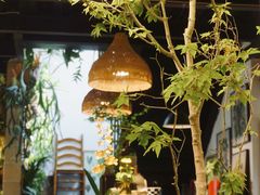 -自由生长植物工作室(深港花卉中心店)
