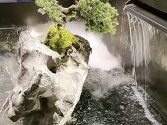 -杏花堂晋商私房菜(华熙五棵松店)