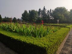 -洛阳市隋唐城遗址植物园