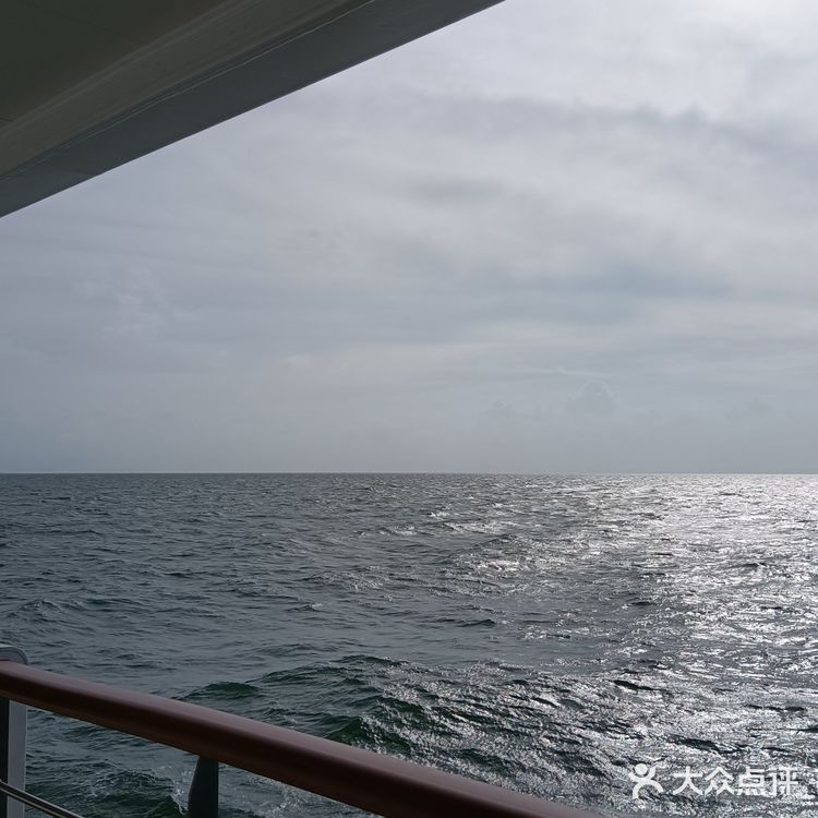 大灣區二號⛴️🚢🛥️