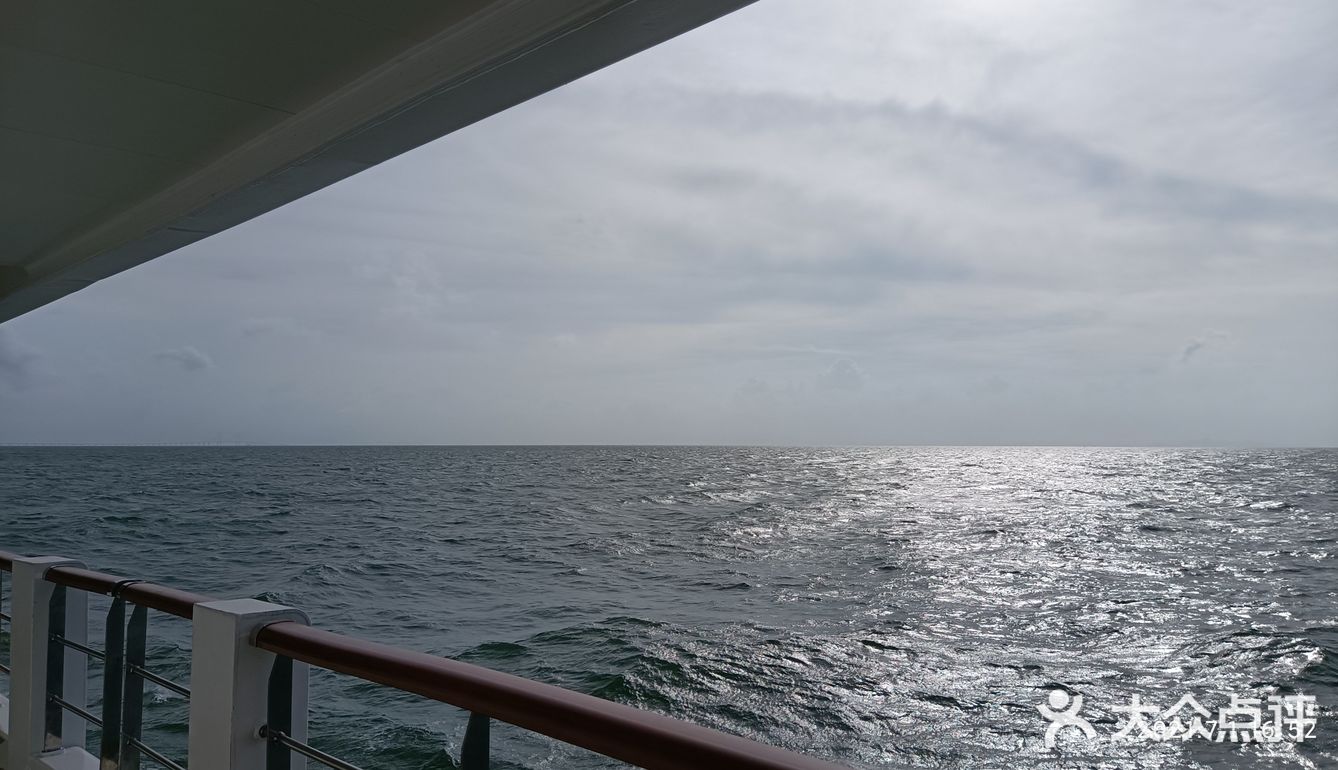 大灣區二號⛴️🚢🛥️