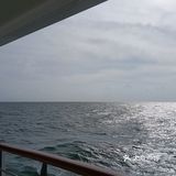 大灣區二號⛴️🚢🛥️