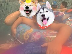 -南宫温泉水世界