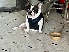 -老梦面包CHEZMOREL(麦子店)