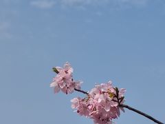 -艾溪湖湿地公园