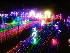 -御蝶坊生日蛋糕KNAC(创业店)