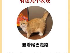 -泰洋动物医院·神经专科·磁共振·CT(天河公园总院)