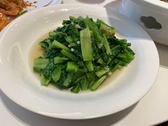 -四季春