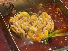 -五里关火锅(牛市口店)