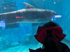 -福州罗源湾海洋世界旅游区