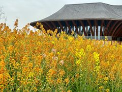 -中国天府农业博览园