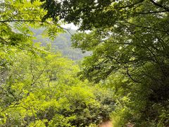 -北京密云天门山风景区