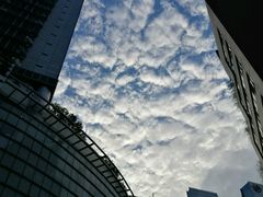 -VT101维多利广场