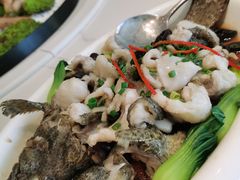葱油龙趸-富黎华海鲜大酒楼(正大广场店)