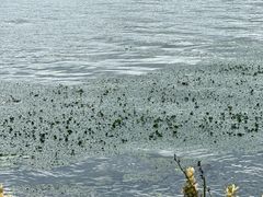 -东钱湖旅游度假区