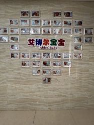 -艾博尔医院