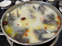 -草墩罗非鱼庄•野生菌•腊排骨(七星街上段店)