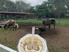 -瑞穗牧场