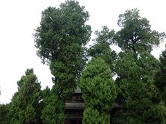 -报恩寺(平武县)