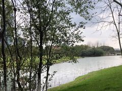 -艾溪湖湿地公园