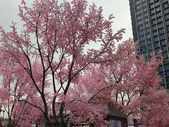 -首开·龙湖成都西宸天街