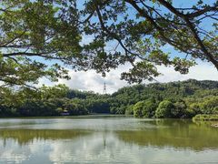 -深圳仙湖植物园