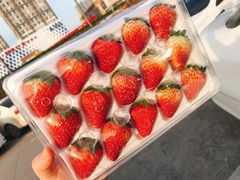 -麦德龙(郑东店)