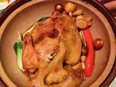 云中神仙鸡-鼓楼东街老火锅(鼓楼店)