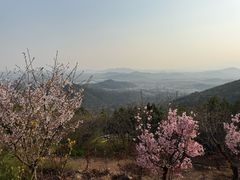 -红螺寺