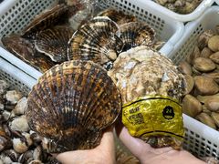 -金沙滩海鲜餐厅·海肠捞饭·手工水饺(梅江龙水园店)