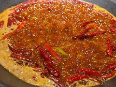 -阳阳老火锅(小南门店)