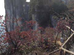 -蝶舞清江·恩施云顶景区(黄鹤峰林)