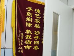 -中农国际动物医院24小时·猫科·骨科·急重症中心