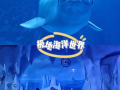 -多彩贵州城极地海洋世界