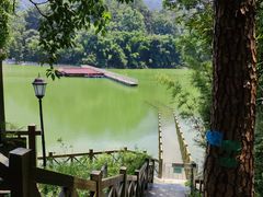 -广州市流溪河国家森林公园