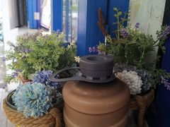 -milkplus·泰式奶茶(较场东路店)