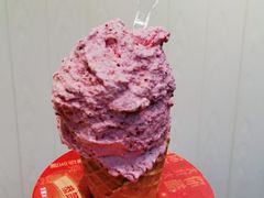 -野人先生现做冰淇淋(北京顺义祥云小镇店)