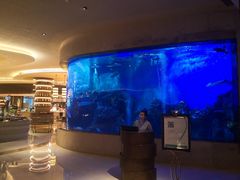 -艺厨风尚餐厅 · 桔钓沙莱华度假酒店